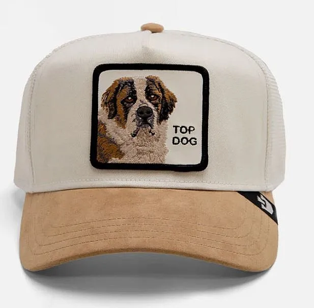 casquette Goorin Bros. The Suede St. Bernard Trucker - Tan